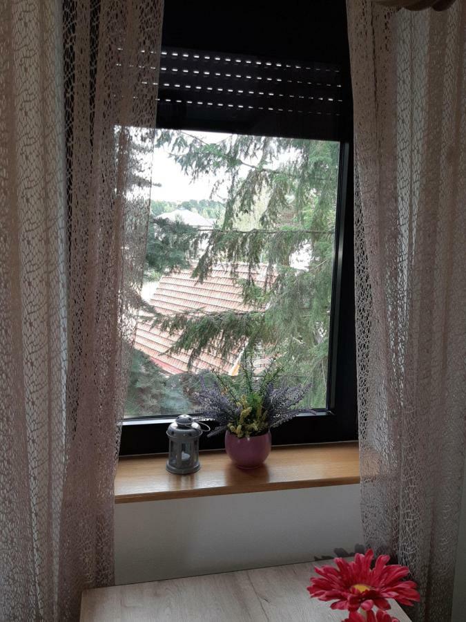 Apartman Nana Svetogorska 19 ,Stan 17 Zlatibor Bagian luar foto